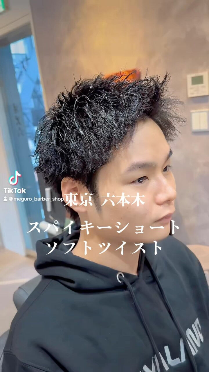 style sample