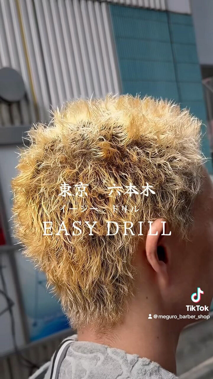 style sample