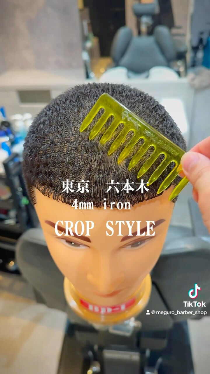 style sample